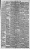 Western Daily Press Monday 02 June 1879 Page 3