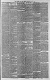 Western Daily Press Wednesday 04 June 1879 Page 3