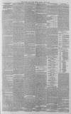 Western Daily Press Monday 26 July 1880 Page 3