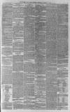 Western Daily Press Wednesday 09 February 1881 Page 3