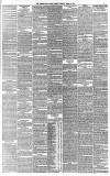 Western Daily Press Tuesday 21 April 1885 Page 3