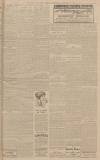 Western Daily Press Wednesday 10 September 1919 Page 3