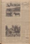 Western Daily Press Saturday 02 June 1923 Page 5