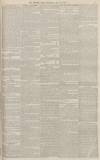 Western Times Wednesday 24 May 1871 Page 3