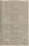 Western Times Tuesday 30 March 1875 Page 3