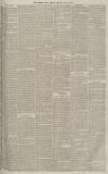 Western Times Tuesday 20 July 1875 Page 3