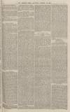 Western Times Saturday 15 January 1876 Page 3
