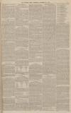 Western Times Wednesday 25 December 1878 Page 3