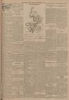 Western Times Saturday 29 November 1902 Page 3