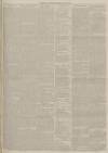 Yorkshire Gazette Tuesday 17 June 1884 Page 3