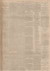 Yorkshire Gazette Saturday 01 April 1899 Page 11