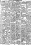 Dundee Courier Tuesday 20 June 1876 Page 5