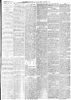 Dundee Courier Monday 11 June 1877 Page 3
