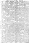 Dundee Courier Friday 19 April 1878 Page 7