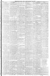Dundee Courier Thursday 25 July 1878 Page 3