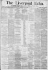 Liverpool Echo Saturday 10 July 1880 Page 1
