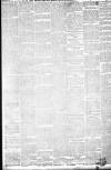 Liverpool Echo Wednesday 03 August 1881 Page 3