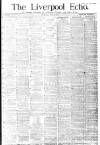 Liverpool Echo Thursday 22 June 1882 Page 1