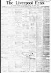 Liverpool Echo Saturday 03 November 1883 Page 1