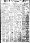 Liverpool Echo Saturday 30 May 1885 Page 1