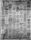 Liverpool Echo Tuesday 15 January 1889 Page 1