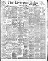 Liverpool Echo Saturday 26 January 1895 Page 1