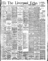 Liverpool Echo Saturday 11 May 1895 Page 1