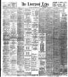 Liverpool Echo Wednesday 06 November 1901 Page 1