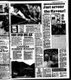 Liverpool Echo Saturday 28 May 1988 Page 13