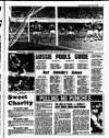 Liverpool Echo Saturday 12 August 1989 Page 41