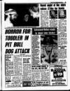 Liverpool Echo Monday 13 May 1991 Page 5