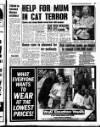 Liverpool Echo Thursday 02 September 1993 Page 23