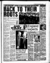 Liverpool Echo Saturday 05 February 1994 Page 45