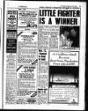 Liverpool Echo Tuesday 31 January 1995 Page 13