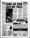 Liverpool Echo Monday 13 March 1995 Page 5