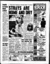 Liverpool Echo Wednesday 17 January 1996 Page 11