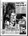 Liverpool Echo Monday 02 June 1997 Page 5