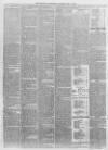 Burnley Advertiser Saturday 25 May 1878 Page 7