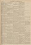 Burnley Gazette Saturday 30 December 1871 Page 3