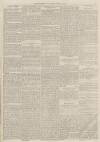 Burnley Gazette Saturday 11 July 1874 Page 5