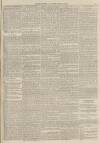 Burnley Gazette Saturday 31 July 1875 Page 7