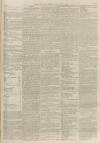 Burnley Gazette Saturday 07 August 1875 Page 7