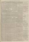 Burnley Gazette Saturday 28 August 1875 Page 7