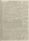 Burnley Gazette Saturday 16 October 1875 Page 7