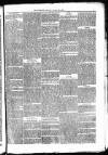 Burnley Gazette Saturday 20 January 1877 Page 7