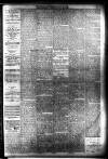 Burnley Gazette Saturday 26 June 1880 Page 5