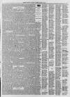 Shields Daily Gazette Thursday 25 April 1861 Page 3