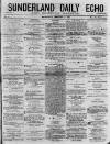 Sunderland Daily Echo and Shipping Gazette Wednesday 14 January 1874 Page 1