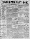 Sunderland Daily Echo and Shipping Gazette Saturday 31 January 1874 Page 1