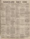 Sunderland Daily Echo and Shipping Gazette Monday 18 February 1878 Page 1